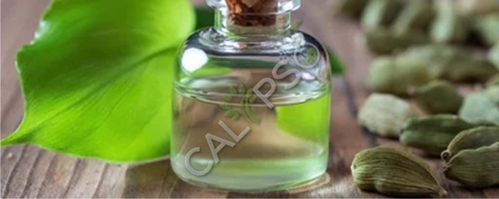 100% Pure Organic Cardamoms Spice Oil